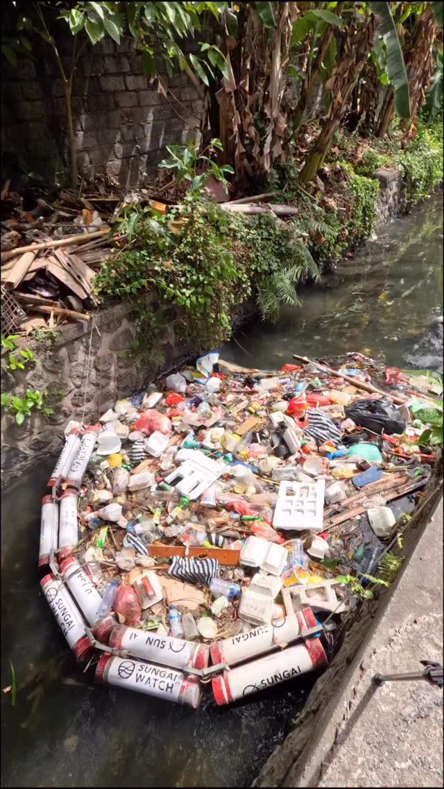 East Java's Junk Removal Market: Sidoarjo Leads the Way